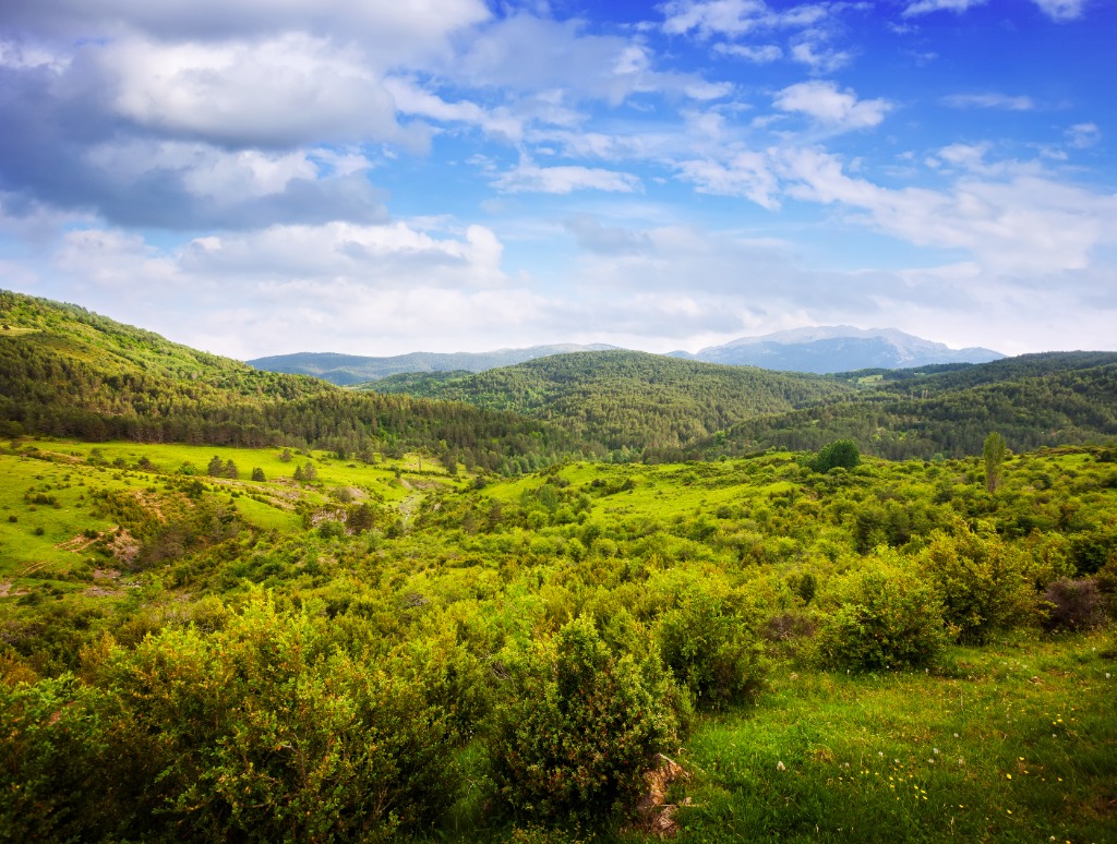 Restored Green Valley Landscape